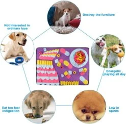 Snuffelmat Hond - Birthday Cake - XXL - Anti-Schrok - Slow Feeder -Honden Benodigdheden Verkoop 1200x1181 12