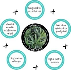 Greenfields Vacht Verzorging Set Voor Honden Shampoo, Conditioner & Droogshampoo -Honden Benodigdheden Verkoop 1200x1182 3