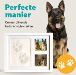 Honden Fotolijst Met Kleiafdruk - Gipsafdruk - Speelgoed Voor Dieren - Pootafdruk Hond - Puppy Speelgoed - Gipsafdruk Huisdier 14 Honden Fotolijst Met Kleiafdruk - Gipsafdruk - Speelgoed Voor Dieren - Pootafdruk Hond - Puppy Speelgoed - Gipsafdruk Huisdier -Honden Benodigdheden Verkoop 1200x1186 24