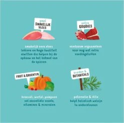 Merkloos Edgard & Cooper Hondenvoer Multipack Kip - Wild - Lam 6 X 100 Gr -Honden Benodigdheden Verkoop 1200x1187 2