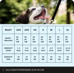 Topmast Airmesh Hondentuig - Click & Go - Turquoise - 3XS - Reflecterend - Harnas Hond - Hondentuigje - Hondenharnas - Voor Puppy, Kleine, Medium En Grote Hond -Honden Benodigdheden Verkoop 1200x1189 24