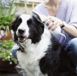 Merkloos HondenFöhn En Borstel - RVS Borstel - Huisdieren - 2 In 1 Hondenföhn -Honden Benodigdheden Verkoop 1200x1190 8