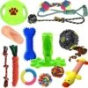 Filo Honden Speelgoed Set 14 Stuks - Hondenspeeltjes Knuffel - Hondenbal - Flostouw - Bot - Frisbee - Hondentouw - Hondenspeelgoed Intelligentie - Kauwspeelgoed Hond En Puppy - Bijtspeelgoed Hondenknuffel - Hondenspeeltje Met Piep -Honden Benodigdheden Verkoop 1200x1191 14