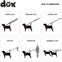 DDOXX Hondenriem Air Mesh, 3-voudig Verstelbaar, 2m | Voor Kleine & Grote Honden | Dubbele Riem Twee Honden Kat Puppy | Tug Leash Large | Lead Leash Small | Walking Leash Puppy Leash | Zwart, XS -Honden Benodigdheden Verkoop 1200x1191 9