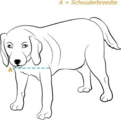 Staywell 620 Hondenluik - Aluminium - Wit -Honden Benodigdheden Verkoop 1200x1192 6