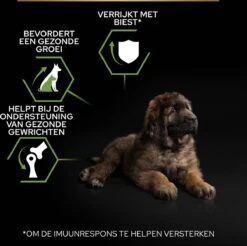 Pro Plan Healthy Start Puppy Large Robust - Honden Droogvoer - Kip - 12 Kg -Honden Benodigdheden Verkoop 1200x1194