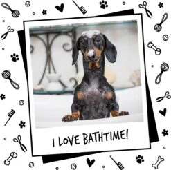 Bugalugs - Hondenshampoo - One In A Million - Alle Vachttypes - Fles Met Pompje - Vegan - 500 Ml -Honden Benodigdheden Verkoop 1200x1196 11