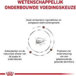 Royal Canin Gastro Intestinal Junior - Tot 12 Maanden - Hondenvoer - 10 Kg -Honden Benodigdheden Verkoop 1200x1196