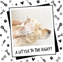 Bugalugs - Hondenshampoo - One In A Million - Alle Vachttypes - Fles Met Pompje - Vegan - 500 Ml -Honden Benodigdheden Verkoop 1200x1197 12