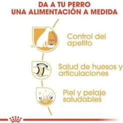 Royal Canin Labrador Retriever Sterilised 12 KG 21 Royal Canin Labrador Retriever Sterilised 12 KG -Honden Benodigdheden Verkoop 1200x1197