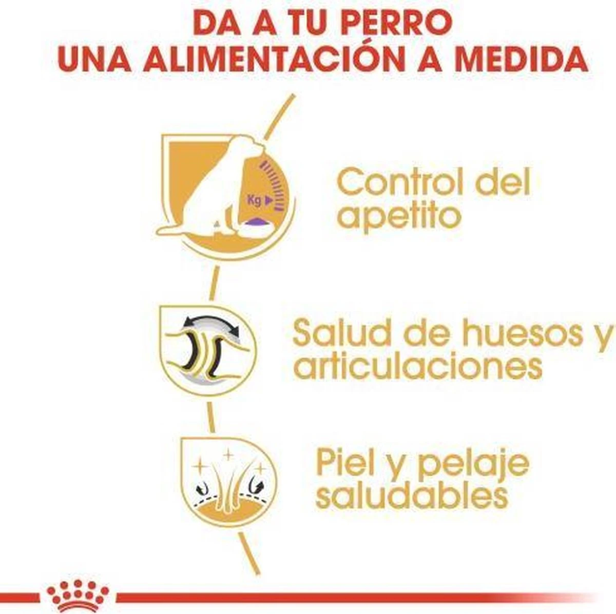 Royal Canin Labrador Retriever Sterilised 12 KG 6 Royal Canin Labrador Retriever Sterilised 12 KG - Afbeelding 4