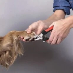 Merkloos Professionele Nagelschaar - Dieren Nagelschaar - Rood & Zwart - Honden Nagelknipper - Hondennagels - Honden Knip Schaar - Honden Knipsch -Honden Benodigdheden Verkoop 1200x1198 15