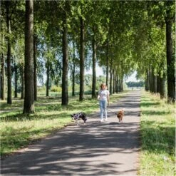 Rebel Petz - Dubbele Verstelbare Hondenriem Voor Twee Honden - Met Draaibare Sluiting En Zacht Handvat - Small En Large - Small (140 Cm Lang, Ø 8 Mm) -Honden Benodigdheden Verkoop 1200x1198 24