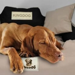 Kingdog - Honden- En Kattenbed 55 X 45 | Zwart - Maat S -Honden Benodigdheden Verkoop 1200x1198 29