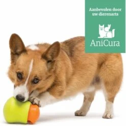 West Paw Toppl Zogoflex - Uitdagend En Sterk Speelgoed Voor Honden - Slowfeeder - Vulbaar Met Voer Of Snacks - Kleur: Groen, Maat: Large -Honden Benodigdheden Verkoop 1200x1198 44