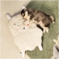 Beeztees Puppy Sjiepo - Hondenspeelgoed - Wit - 40x22x5 Cm 16 Beeztees Puppy Sjiepo - Hondenspeelgoed - Wit - 40x22x5 Cm -Honden Benodigdheden Verkoop 1200x1198 45