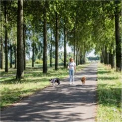 Rebel Petz - Dubbele Verstelbare Hondenriem Voor Twee Honden - Met Draaibare Sluiting En Zacht Handvat - Small En Large - Large (140 Cm Lang, Ø 12 Mm) -Honden Benodigdheden Verkoop 1200x1199 20