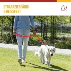 Happilax Dog Leash 2m Adjustable - Red / Reflective - 3-Step Adjustable Leash - Double Leash, Tug Leash - Geschikt Als Hondenriem Voor Grote Honden Of Als Sleepriem Voor Kleine Honden. -Honden Benodigdheden Verkoop 1200x1199 23