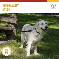 Happilax Dog Leash 2m Adjustable - Black/Reflective - 3-Step Adjustable Leash - Double Leash, Tug Leash - Geschikt Als Hondenriem Voor Grote Honden Of Als Sleepriem Voor Kleine Honden. -Honden Benodigdheden Verkoop 1200x1199 25