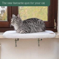 Pfotenolymp® Premium Window Baars/Krabmat Voor Katten Bij Het Raam - Vensterbank/Kattenbank Voor De Vensterbank - Zit/Ligstoel Voor Katten -Honden Benodigdheden Verkoop 1200x1199 30