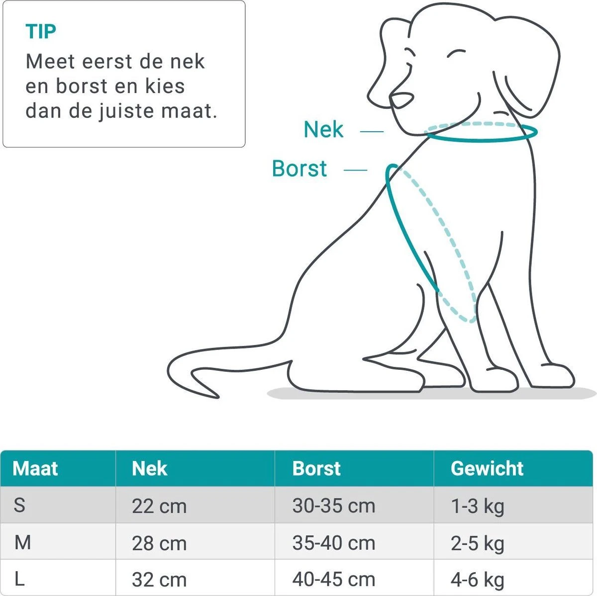 Hondentuig, Hondenharnas Met Hondenriem – Reflecterend - Zwart – Maat L (borst 40-45 Cm) 5 Hondentuig, Hondenharnas Met Hondenriem – Reflecterend - Zwart – Maat L (borst 40-45 Cm) - Afbeelding 3