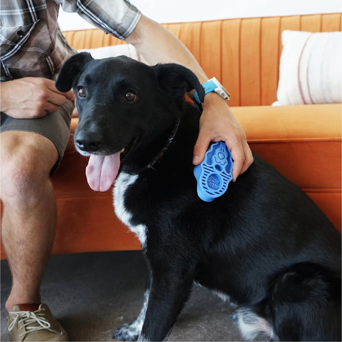 Kong Zoom Groom Hond 6 Kong Zoom Groom Hond - Afbeelding 4