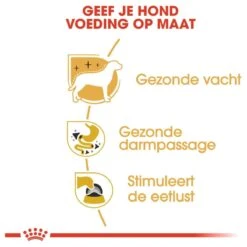 Royal Canin Chihuahua Pouch (12X85 GR) -Honden Benodigdheden Verkoop 1200x1200 102