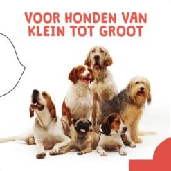 JC Pets Ultrasone Anti Blaf Apparaat Voor Kleine En Grote Honden - Oplaadbaar - Alternatief Anti Blafband Voor Honden - Diervriendelijk & Zonder Schok -Honden Benodigdheden Verkoop 1200x1200 1022