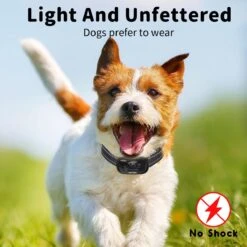 NIIYEBU Anti Blafband - Blafbanden Voor Honden - Anti Blaf Apparaat - Diervriendelijk - Zonder Schok - Vibratie En Audio 14 NIIYEBU Anti Blafband - Blafbanden Voor Honden - Anti Blaf Apparaat - Diervriendelijk - Zonder Schok - Vibratie En Audio -Honden Benodigdheden Verkoop 1200x1200 1028