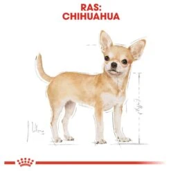 Royal Canin Chihuahua Pouch (12X85 GR) -Honden Benodigdheden Verkoop 1200x1200 103