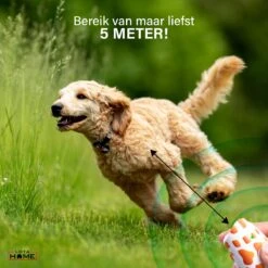 Merkloos LotaHome - Anti Blaf Apparaat - Hondentrainer Voor Binnen En Buiten - Bereik Tot 15 Meter - Diervriendelijk - Zonder Schok - Ultrasone - Voor Alle Honden - Inclusief Clicker -Honden Benodigdheden Verkoop 1200x1200 1033