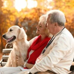 Merkloos LotaHome - Anti Blaf Apparaat - Hondentrainer Voor Binnen En Buiten - Bereik Tot 15 Meter - Diervriendelijk - Zonder Schok - Ultrasone - Voor Alle Honden - Inclusief Clicker -Honden Benodigdheden Verkoop 1200x1200 1035