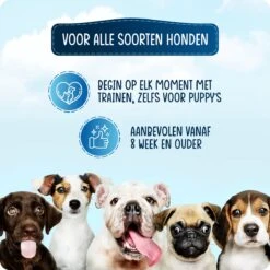VEDIC® - Luxe Clicker Met Fluit - Clickertraining Voor Honden - Zwart - Bevestigingsring - Fluit - Hondentraining -Honden Benodigdheden Verkoop 1200x1200 1073