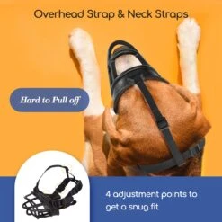 Nobleza Muilkorf Hond - Snuitomtrek 33 - Maat L - Zwart 12 Nobleza Muilkorf Hond - Snuitomtrek 33 - Maat L - Zwart -Honden Benodigdheden Verkoop 1200x1200 1080