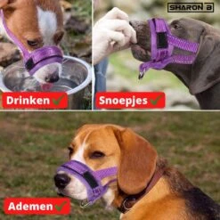 Sharon B Muilkorf Paars Maat M - Fleece - Wasbaar - Reflecterend -Honden Benodigdheden Verkoop 1200x1200 1082