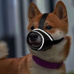 Merkloos Hoog Kwaliteit Muilkorf Met Bedrukt Patroon - Muilkorf Hond - Hondensnuit - Anti Blaf En Bijt - Voor Kleine En Grote Honden Maat M Zwart Reflecterend -Honden Benodigdheden Verkoop 1200x1200 1084