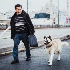 Merkloos Hoog Kwaliteit Muilkorf Met Bedrukt Patroon - Muilkorf Hond - Hondensnuit - Anti Blaf En Bijt - Voor Kleine En Grote Honden Maat M Zwart Reflecterend -Honden Benodigdheden Verkoop 1200x1200 1085