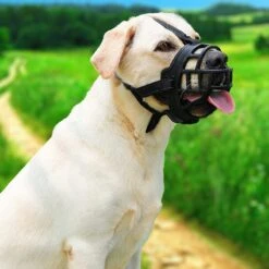 Sharon B Muilkorf Hond - Zwart - XXL - Voor Zeer Grote Honden - Snuitomtrek 38-43 Cm -Honden Benodigdheden Verkoop 1200x1200 1091