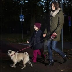 Flexi Led Lighting System Vario - Zwart - S/M/L -Honden Benodigdheden Verkoop 1200x1200 1102