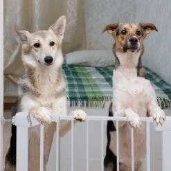 Nobleza 47B4V - Hondenhek - Metaal - H76 X L75-82 Cm - Wit 14 Nobleza 47B4V - Hondenhek - Metaal - H76 X L75-82 Cm - Wit -Honden Benodigdheden Verkoop 1200x1200 1129