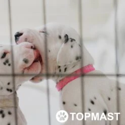 Topmast Puppyren Uitvouwbaar - Zwart - 560 Cm Omtrek - 60 Cm Hoog - Opvouwbaar XL - Hondenren -Honden Benodigdheden Verkoop 1200x1200 1151