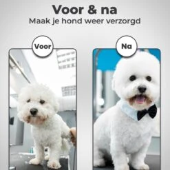 VoordeelShop 7-Delige Huisdier Knipset Met Etui - Trimmen Hond - Honden Schaar - Effileerschaar Hond - Huisdier Trimmer - Huisdier Knippen - Knipschaar Haar - Haar Schaar - Kapper - Kapperset - Scharenset -Honden Benodigdheden Verkoop 1200x1200 120