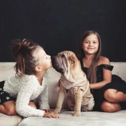 Relaxdays Puppyren - Hondenren - Puppykennel - Konijnenren - Bodem - Metaal - Div. Grootte - M -Honden Benodigdheden Verkoop 1200x1200 1224