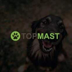 Merkloos Topmast Premium Puppyren - 120 Cm Hoog - 640 Cm Omtrek - Hondenren - Hondenhok - Zwart -Honden Benodigdheden Verkoop 1200x1200 1257