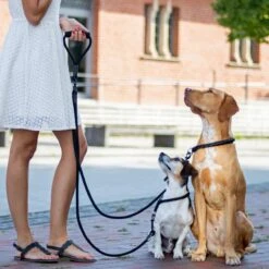 Rebel Petz - Dubbele Verstelbare Hondenriem Voor Twee Honden - Met Draaibare Sluiting En Zacht Handvat - Small En Large - Small (140 Cm Lang, Ø 8 Mm) -Honden Benodigdheden Verkoop 1200x1200 1275