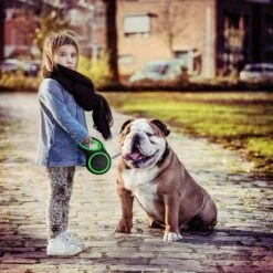 IGOODS - Hondenriem - Katten Riem - Uitlaatriem Voor Honden En Katten - Honden Riem- Rollijn - 5 Meter Lang -Honden Benodigdheden Verkoop 1200x1200 1279