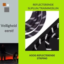 1FORME Hondenriem 15-25kg - Sliplijn Hond REFLECTEREND 2m, 1cm Ø - Jachtlijn 2 Ergonomische Handvaten - Dubbel Stop -Honden Benodigdheden Verkoop 1200x1200 1290