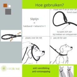 1FORME Hondenriem 15-25kg - Sliplijn Hond REFLECTEREND 2m, 1cm Ø - Jachtlijn 2 Ergonomische Handvaten - Dubbel Stop -Honden Benodigdheden Verkoop 1200x1200 1295