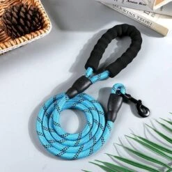 Comfortabele Hondenriem Met Gevoerd Handvat – Stevige Nylon Hondenlijn – Riem Voor Honden -Honden Benodigdheden Verkoop 1200x1200 1299