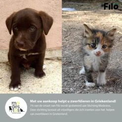 Filo Elastische Hondenriem Groot - Hardlopen En Wandelen - Hardloopriem Hond Handsfree Met Heuptasje - Looplijn Met Heupriem - Canicross Gordel Honden - Riemen - Heupgordel - Leiband -Honden Benodigdheden Verkoop 1200x1200 1300